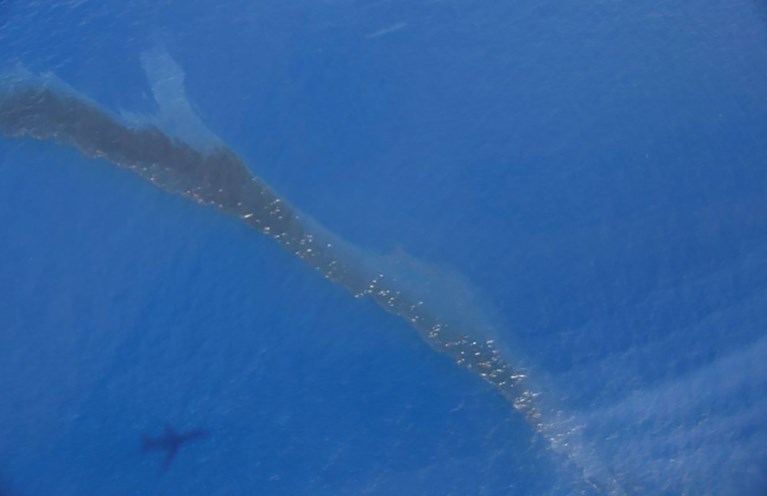 Stranden Corsica afgesloten om schade wegens kilometerslange olievlek