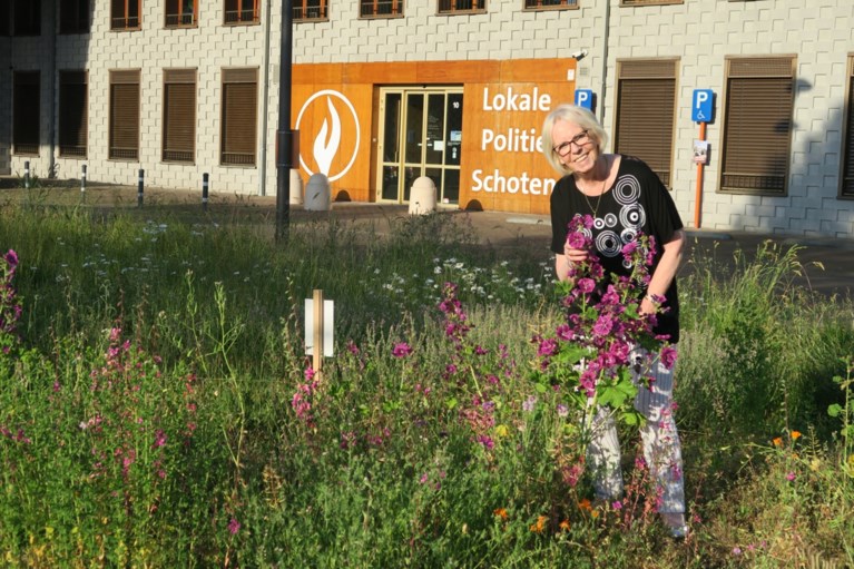 Wonderbaarlijke transformatie Gasketelplein: van stenen woestijn naar kleurrijke bloemenweide