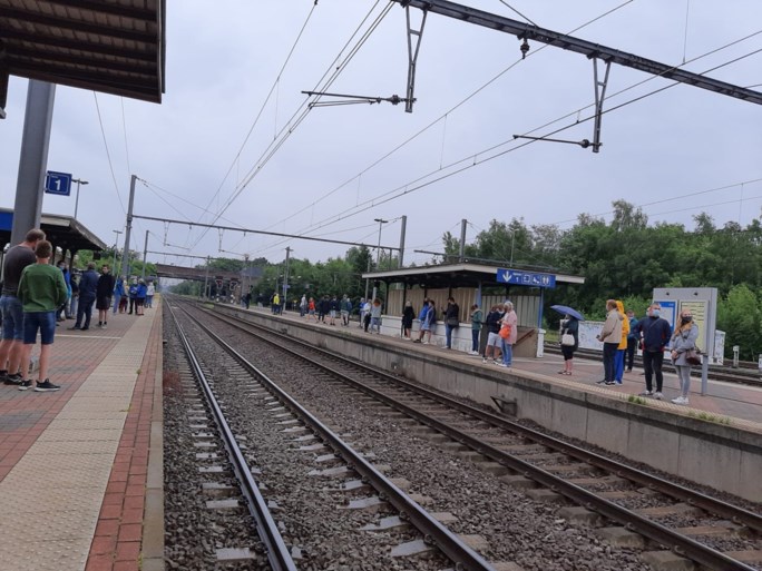Orient Express stopt even in Essen: liefhebbers wachten urenlang om beroemde trein te zien