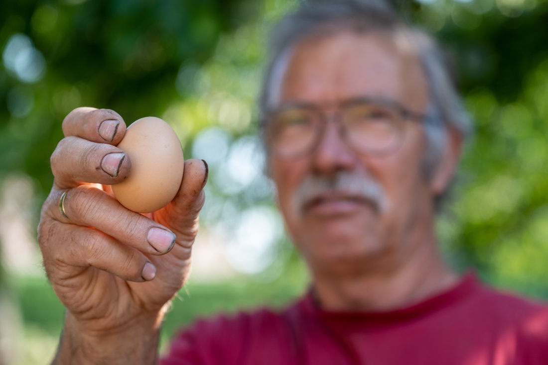 Research: egg from Zwijndrecht contains more than 200 times as much PFO…