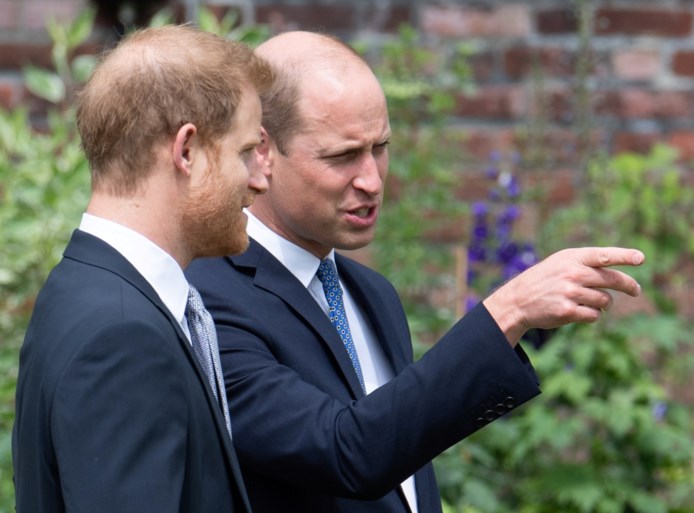 Biograaf van prins Harry beschuldigt entourage van prins William “verhalen te verzinnen over mentale gezondheid van zijn broer”