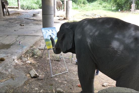 Talented elephant makes paintings: “Sold for almost…