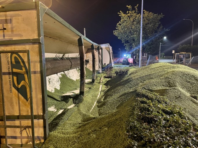 Dertig ton erwten belandt op de weg nadat vrachtwagen kantelt bij rotonde: “Als dit overdag gebeurd was...”