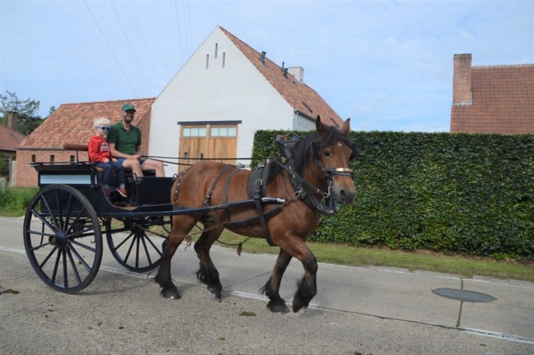 Drie dagen paardengeluk op houten wielen met ijzeren beslag
