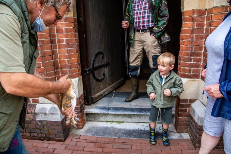 Niet Heilige Geest, wel spierwitte kerkuil daalt neer tijdens misviering in Mol-Rauw