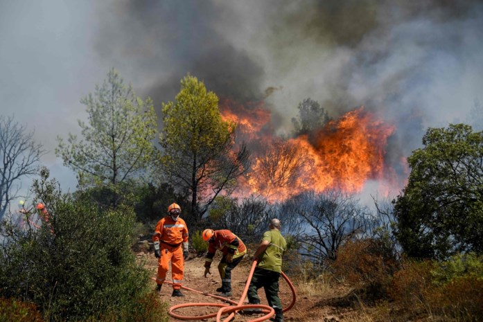 Vlamingen in de Franse Var zien hevige bosbranden met lede ...