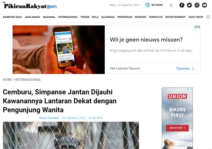 Berita dunia adalah bahwa pengunjung kebun binatang tidak lagi diizinkan untuk melihat simpanse kesayangannya