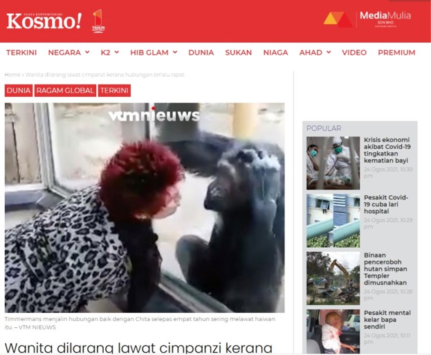 Berita dunia adalah bahwa pengunjung kebun binatang tidak lagi diizinkan untuk melihat simpanse kesayangannya