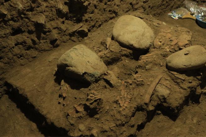 The DNA of a 7,000-year-old teenage girl sheds light on…