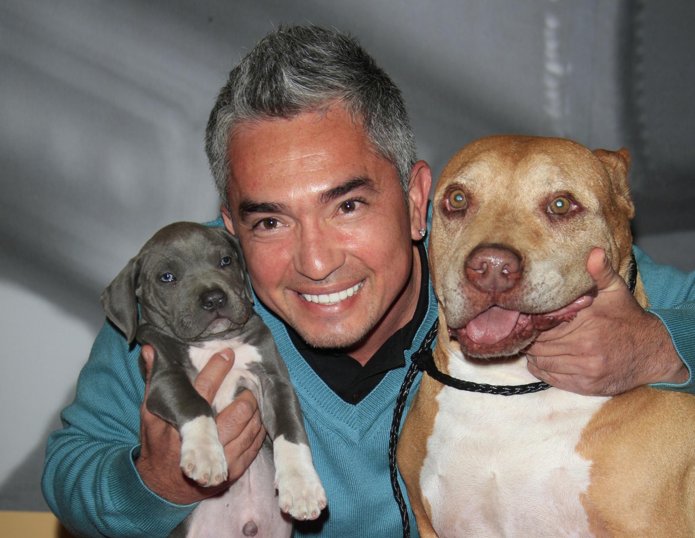 s Werelds bekendste hondenfluisteraar Cesar Millan onder “Zijn pitbull viel mij aan en doodde het hondje van Queen Latifah” | Het Nieuwsblad Mobile