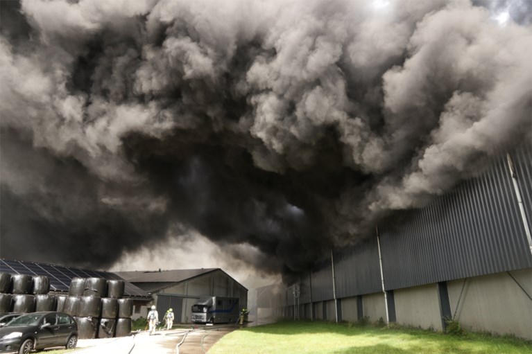 Zware brand in kippenbedrijf: tienduizenden kippen overleven vlammenzee niet
