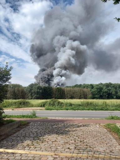 Zware brand in kippenbedrijf: tienduizenden kippen overleven vlammenzee niet