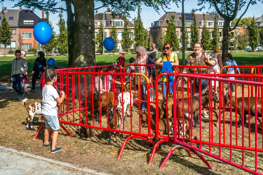 De jaarmarkt van Hoboken is helemaal terug, en het district maakt het