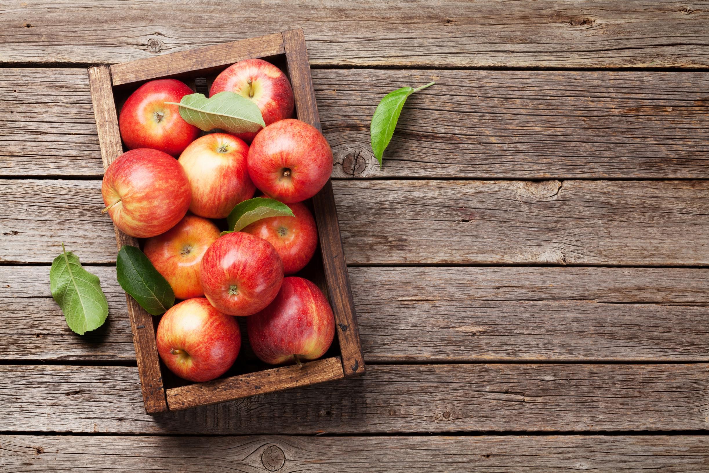 tactiek masker toezicht houden op Hoe ver vallen de appels zelf van de boom: waarom is de ene veel duurder  dan de ander en welke soort eet je wanneer? | Het Nieuwsblad Mobile