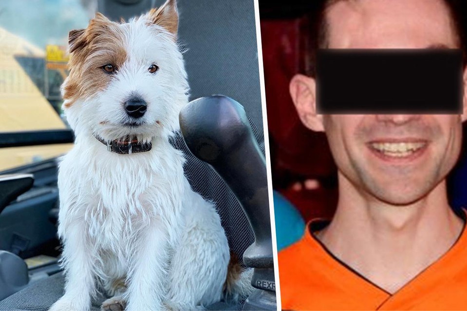 Jogger who killed the dog Dribble must be brought before the court on Wednesday (Lokeren)