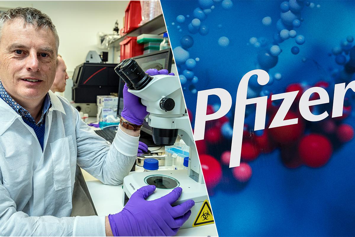 Experts praise Pfizer’s corona pill: “Without exaggeration…