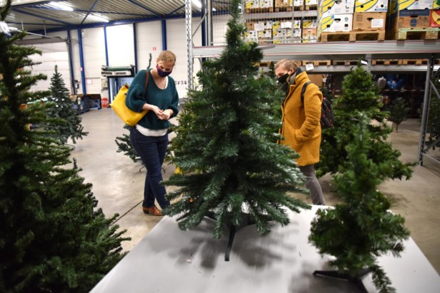 Ziek persoon ontrouw Grondwet Hasseltse kringwinkel Okazi redt 120 kerstbomen van de afvalberg (Hasselt)  | Het Nieuwsblad Mobile