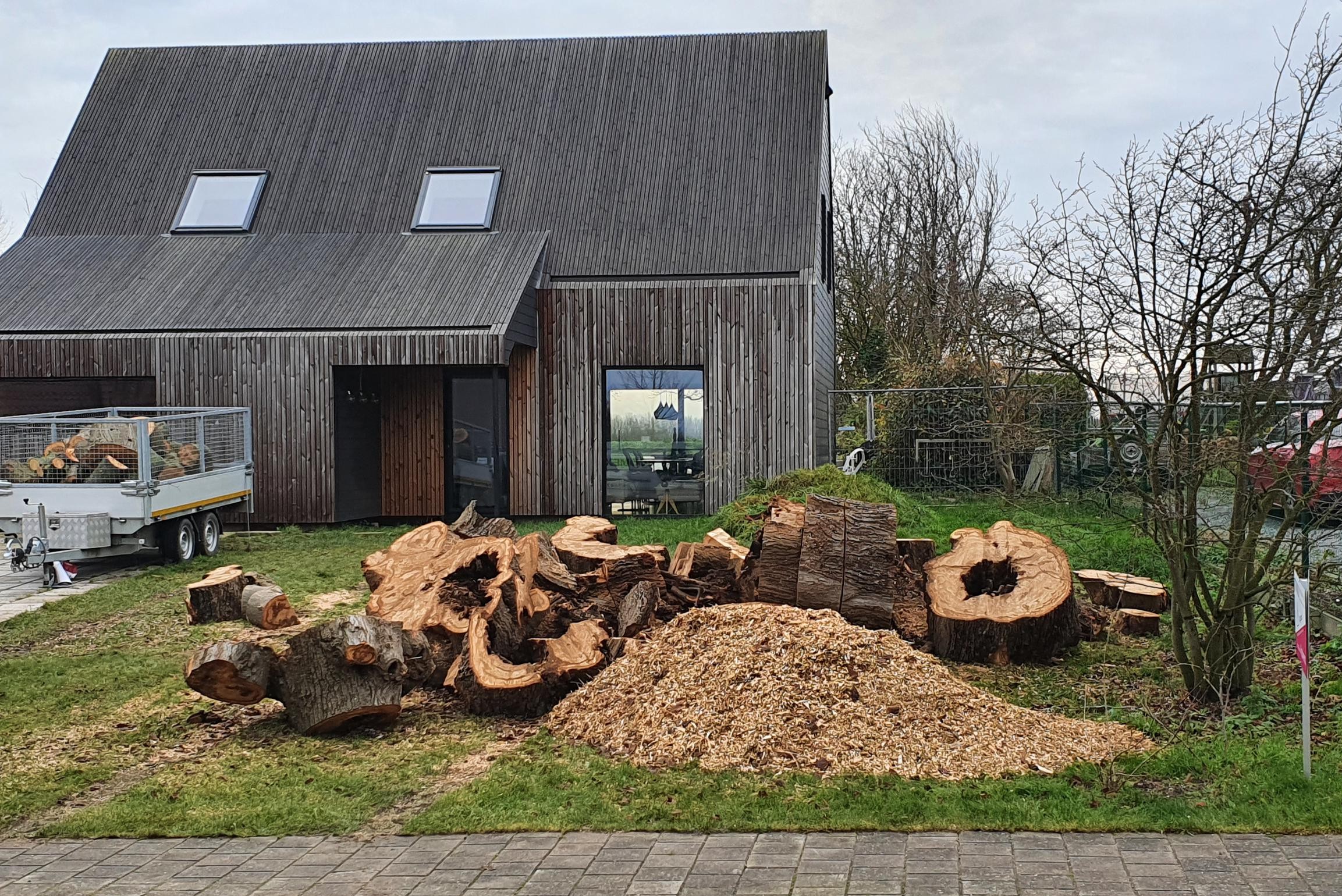 Ondanks Protest Is De Eeuwse Boom Toch Gekapt Deze Hetze Wil Ik