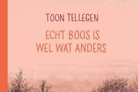 RECENSIE. ‘Echt boos is wel wat anders’ van Toon Tellegen: Bedrieglijk