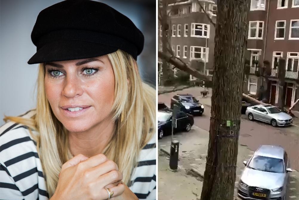 Ellemieke Vermolen narrowly escapes drama when tree falls on car