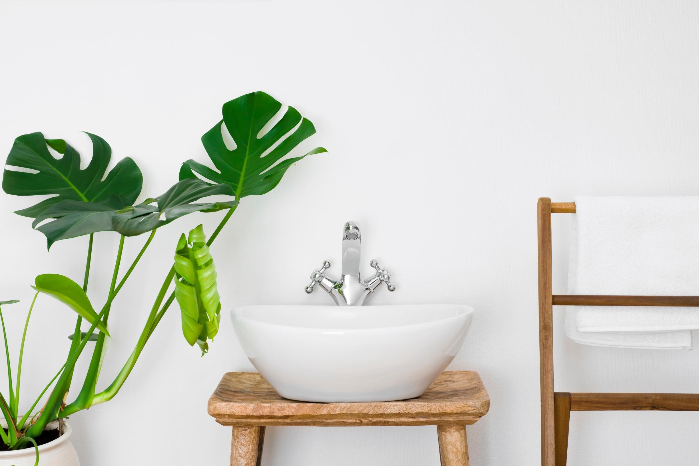 Scheur gemakkelijk donor Geen koude douche over de kosten: zo geef je je badkamer een  budgetvriendelijke make-over | Het Nieuwsblad Mobile