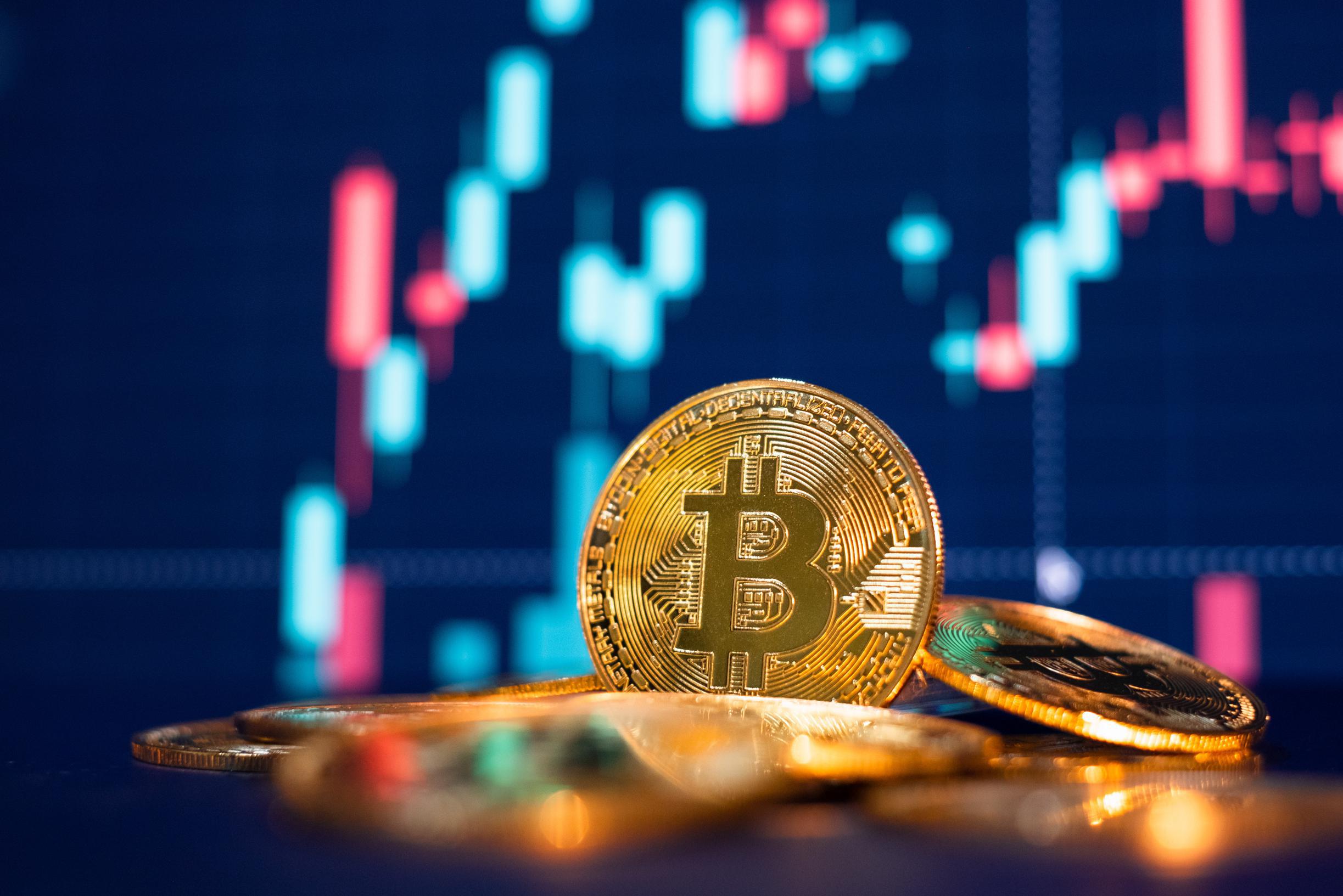 Bitcoin is the new gold, but a world apart: this article will guide you through the digital jungle of cryptocurrencies