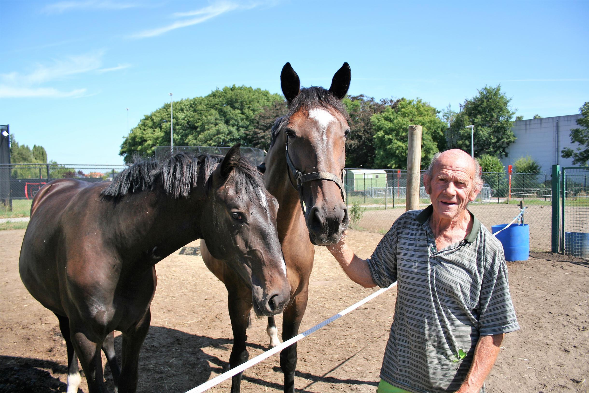 Thief runs away with a beautiful stallion promising "This is the work ...