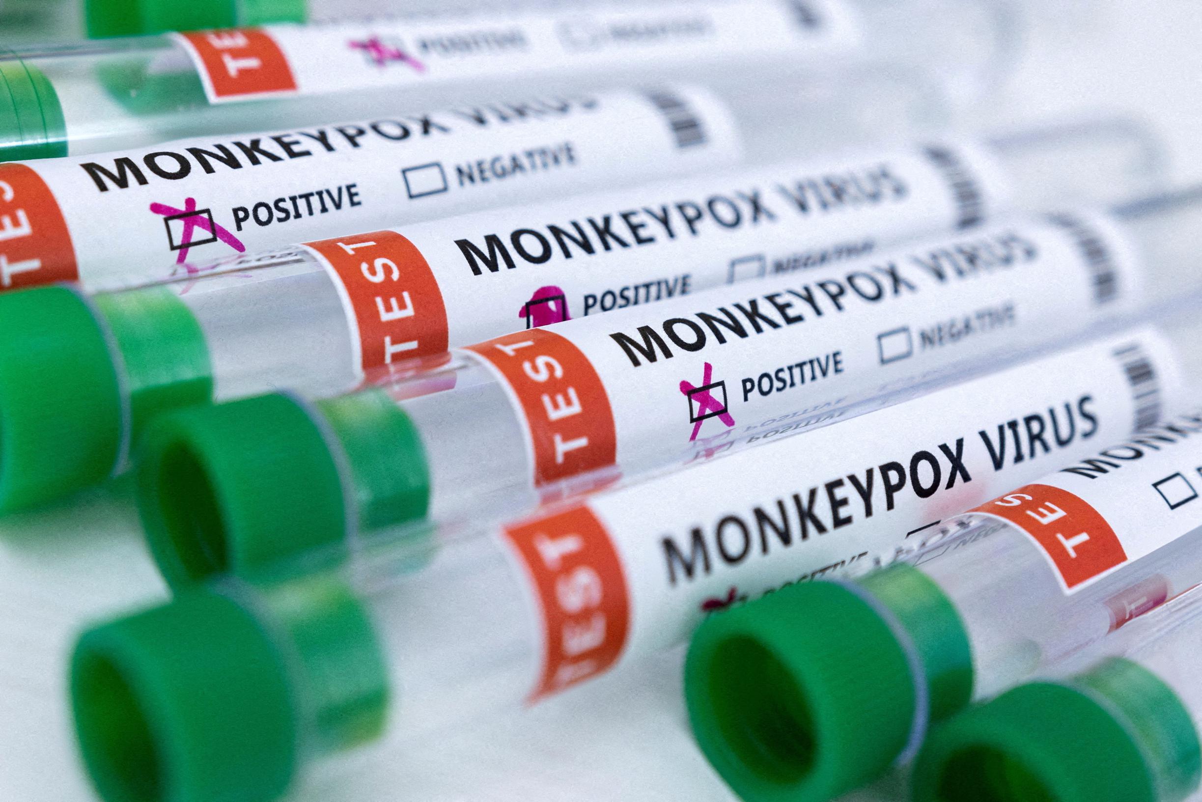 WHO deplores attacks on monkeys in Brazil: Monkeypox not linked to monkey species