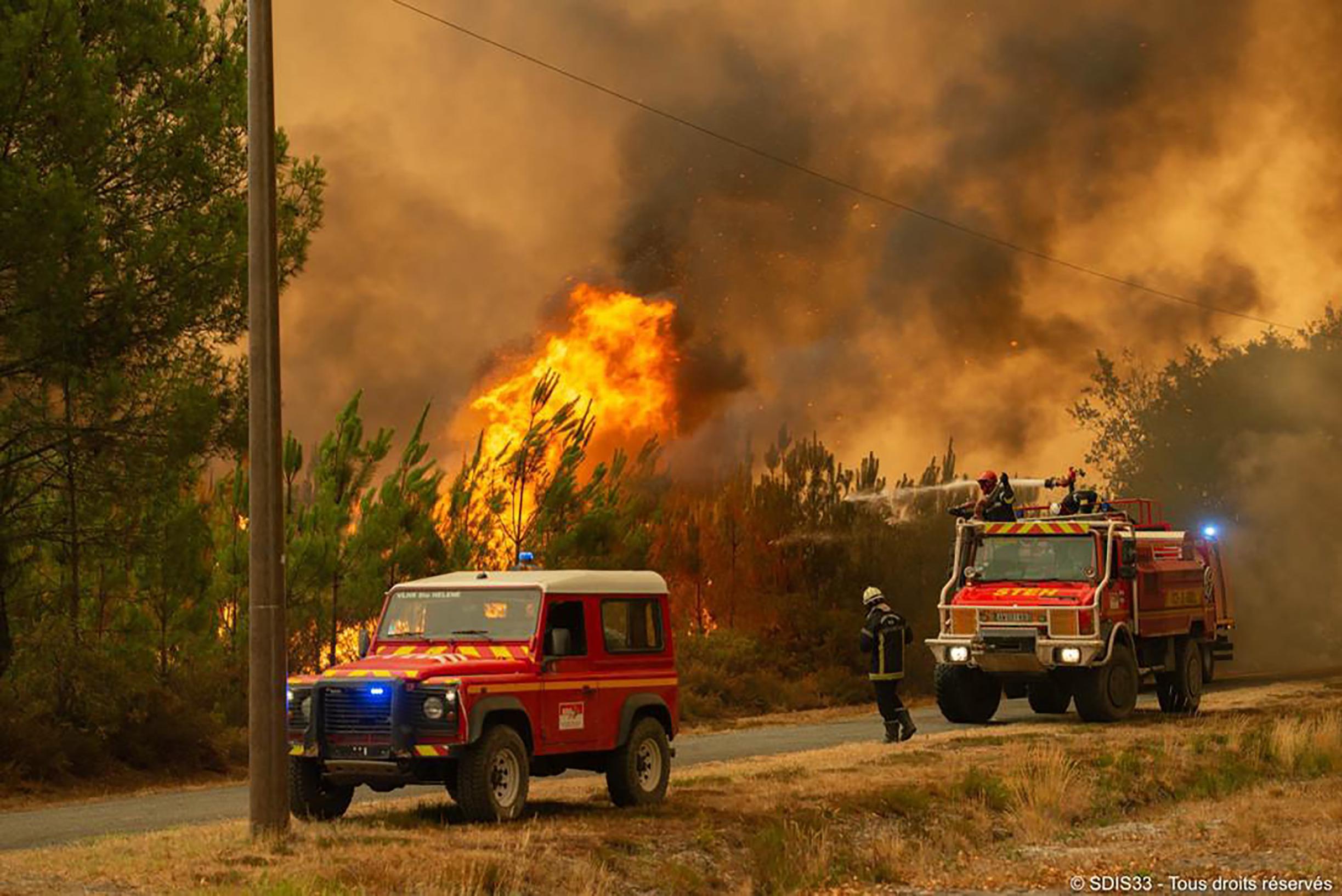 Интенсивные лесные пожары во Франции кажутся неудержимыми, а Германия прислала подкрепление: «словно зверь с мозгами».