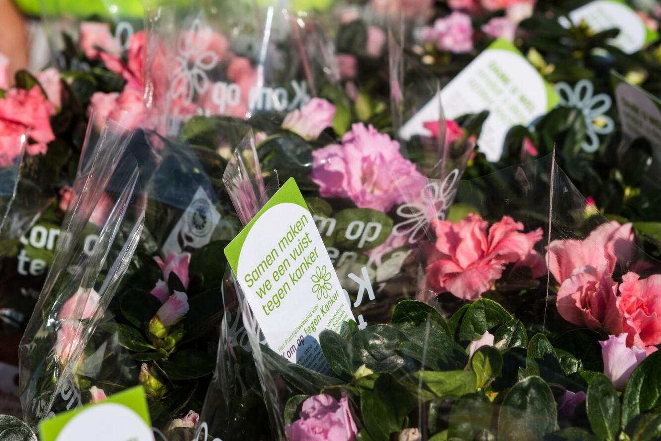 Vrijwilligers Kom op tegen Kanker niet welkom in twee supermarkten van Limburgse eigenaar
