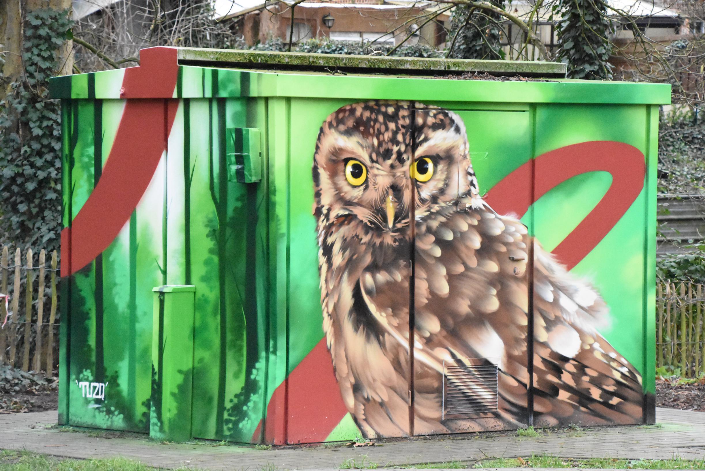 Nieuw kunstproject tovert saaie elektriciteitskasten om tot pareltje van street art