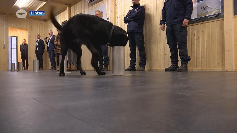 Explosievenhonden geven demonstratie voor Werelddierendag: “We mogen niets aan het toeval overlaten”