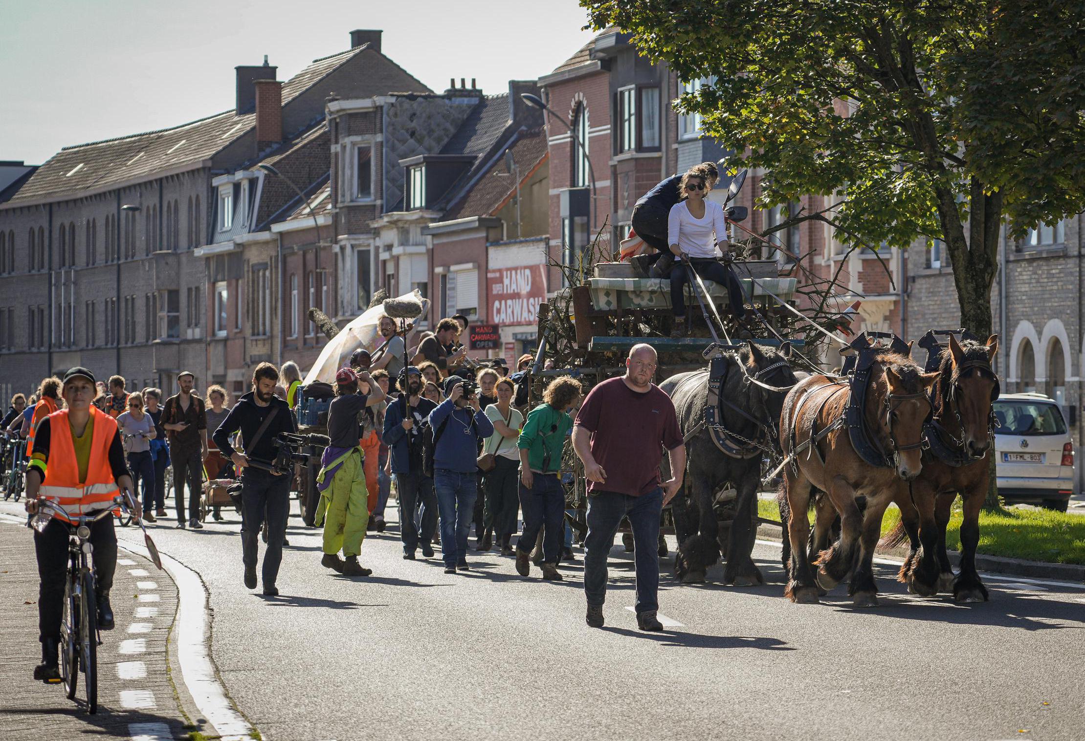 Het Krioelt Van De Salamanders In Merelbeke, En Binnenkort Ook In Melle ...