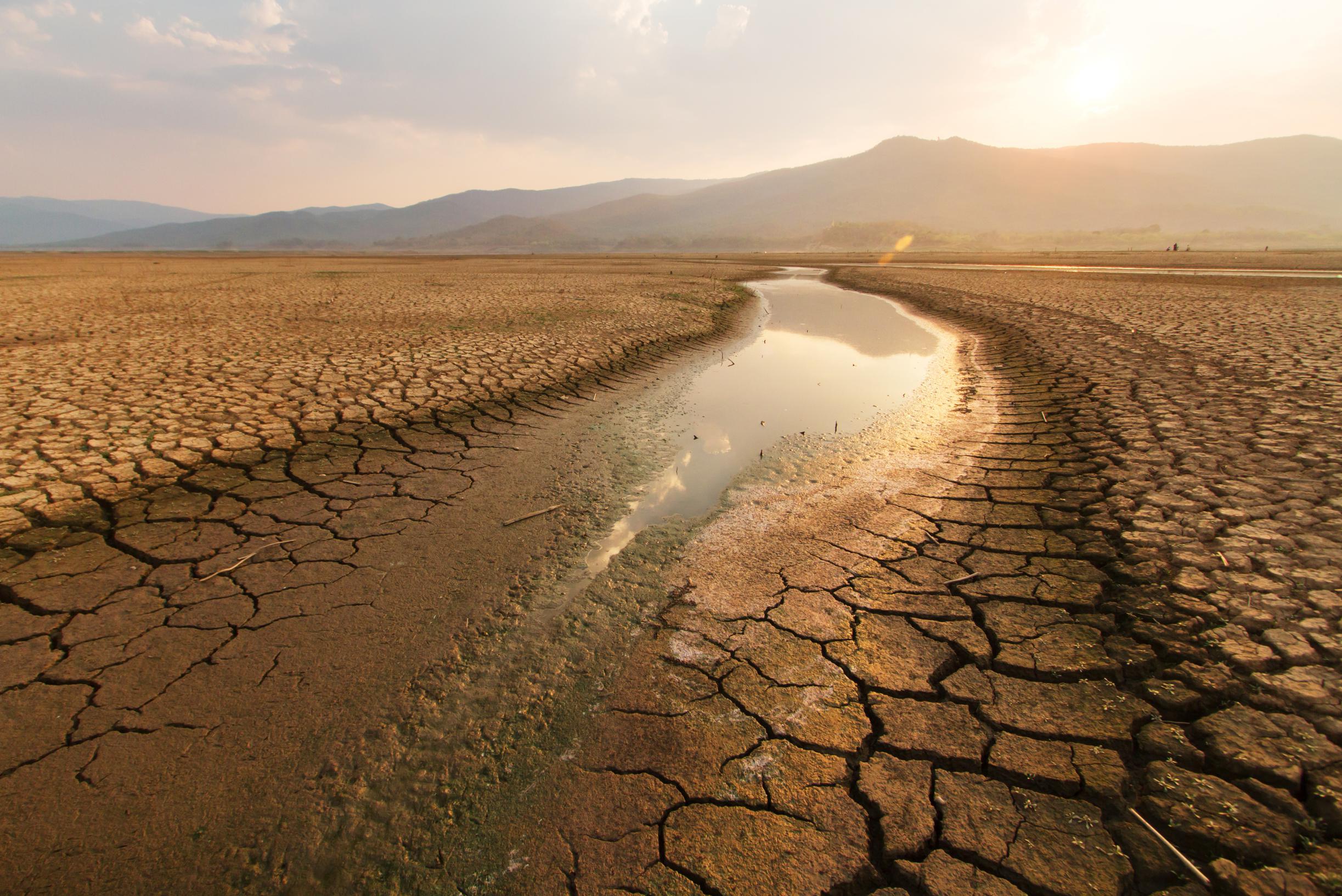 COP27: “Intere regioni diventeranno inabitabili nei prossimi decenni a causa delle ondate di caldo”