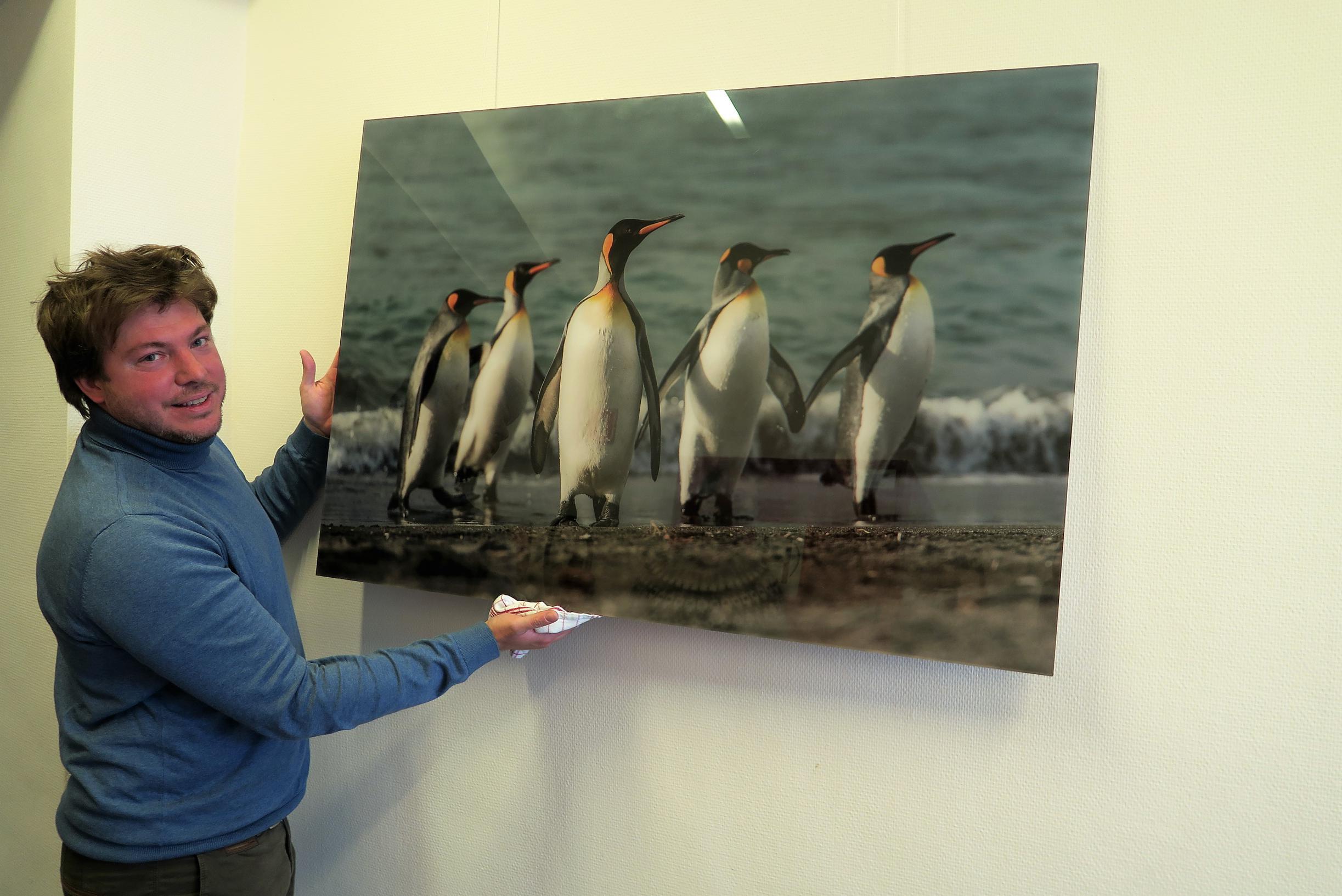 Christian Clauwers fotografeert met een missie: “Deze pinguïns vragen om niet weg te kijken van klimaatproblematiek”
