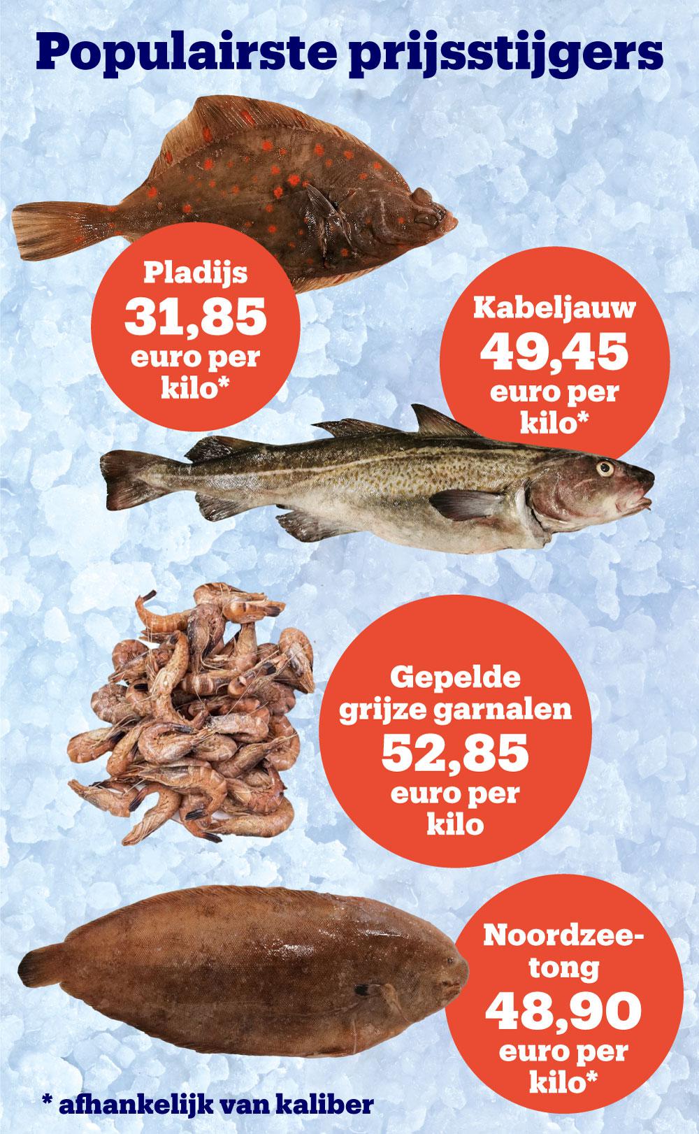 Nu vragen ze pas boter bij de vis: verse vis is historisch duur (of toch als je voor de populairste soorten kiest) | Het Nieuwsblad Mobile