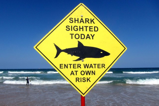 Australian teenager killed by shark
