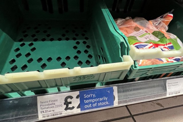 Максимум 3 помидора и перца на одного покупателя: в британских супермаркетах все больше ограничивают фрукты и овощи рационом