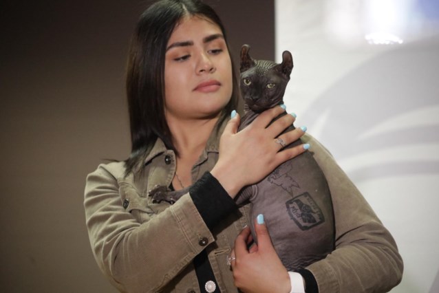 Татуированный «кот-наркотик», освобожденный из мексиканской тюрьмы, нашел новый дом по секретному адресу.