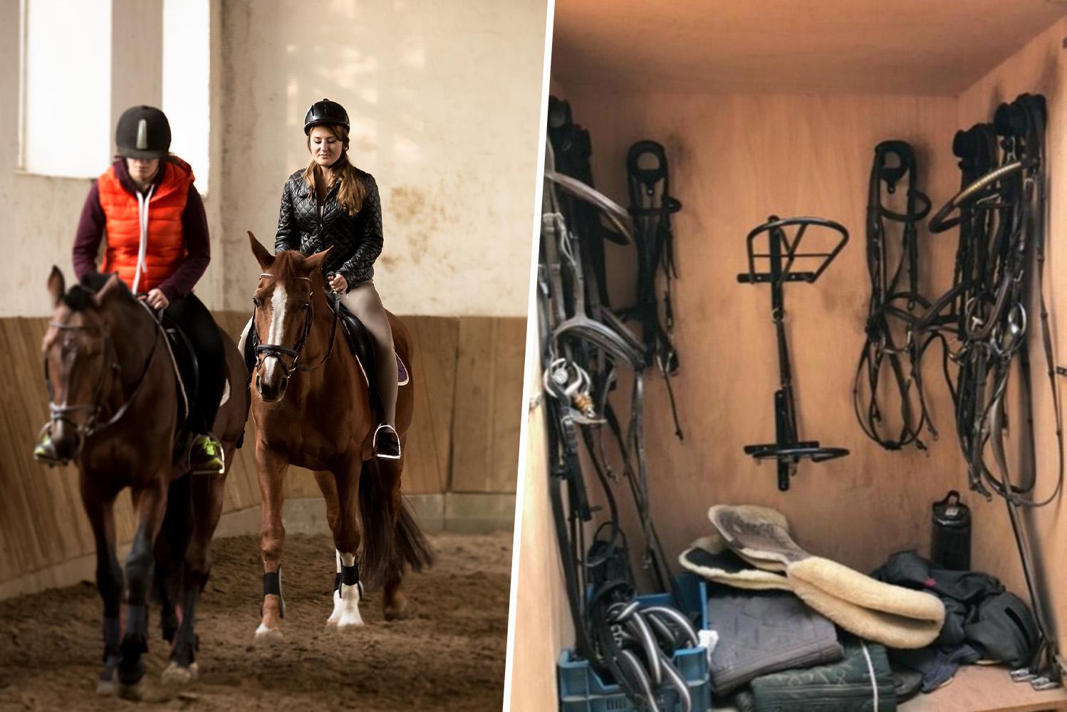 Dieven hebben gemunt op de paardensport: sinds jaar werden al tientallen peperdure zadels gestolen (Stekene) | Nieuwsblad Mobile