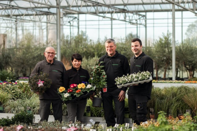 Dalla bancarella del mercato al boom degli affari: Marcel (75 anni) tiene aperto il suo vivaio da cinquant’anni e festeggia con piante libere (Beveren-Waas)