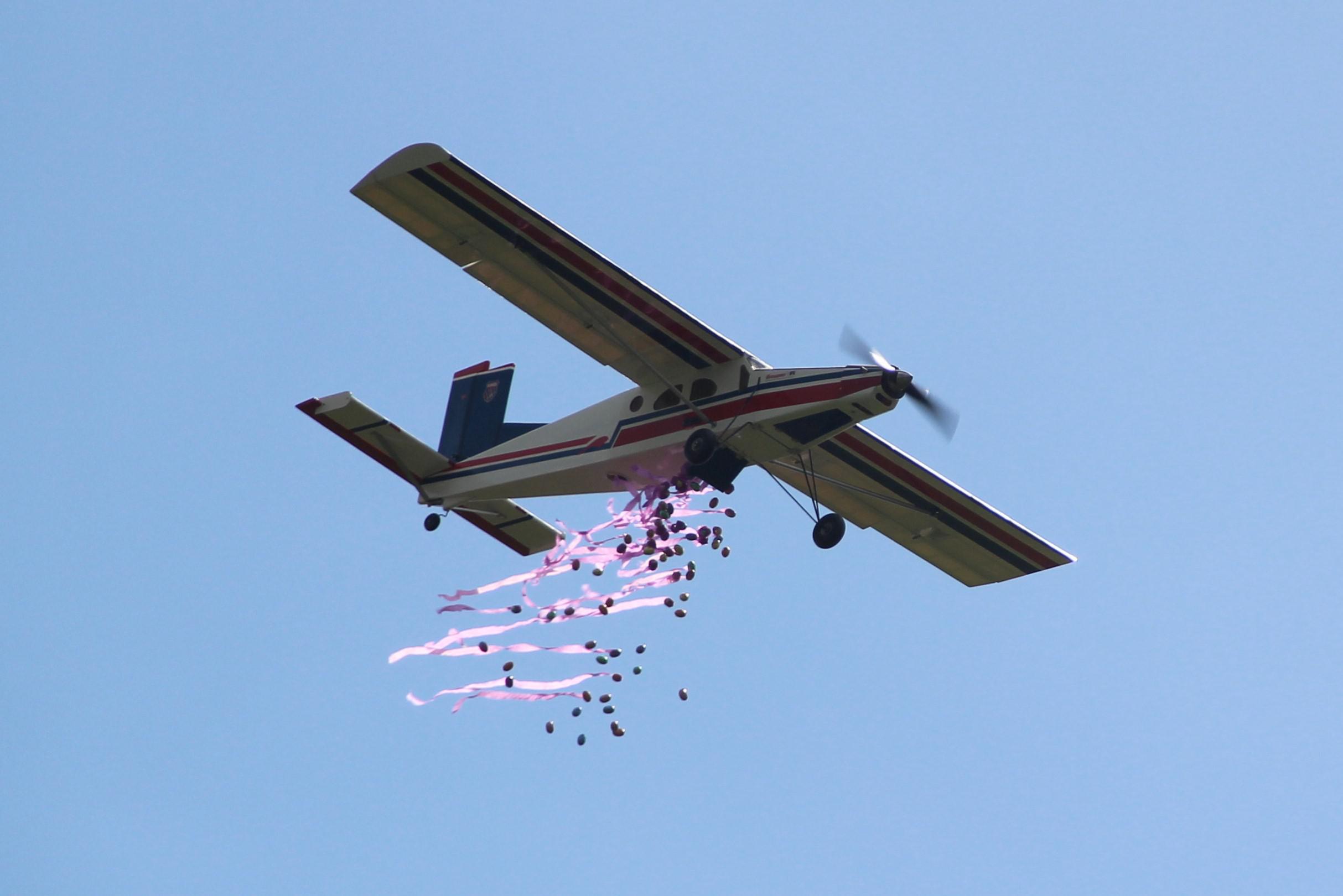 Koopje Temerity Dislocatie Modelvliegtuigen lossen 30 kilo paaseieren vanop 50 meter hoogte | Het  Nieuwsblad Mobile