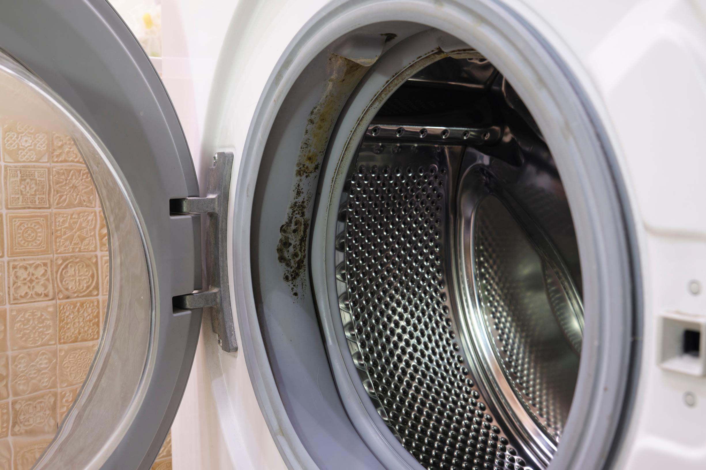 kat huurling Ondergeschikt Hoe milieuvriendelijker je wast, hoe vuiler hij wordt: hou je wasmachine  proper in vier simpele stappen | Het Nieuwsblad Mobile
