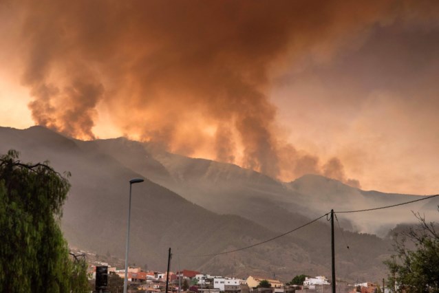For the time being, no danger from forest fires for Belgian tourists on Tenerife, says TUI