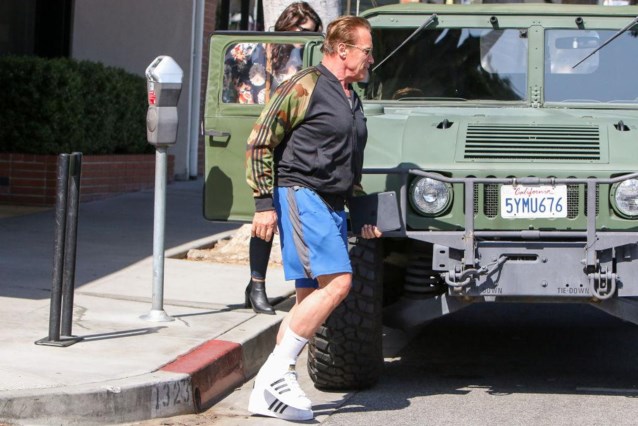 Arnold Schwarzenegger Sued by Woman on Bicycle for Car Accident: TMZ Reports