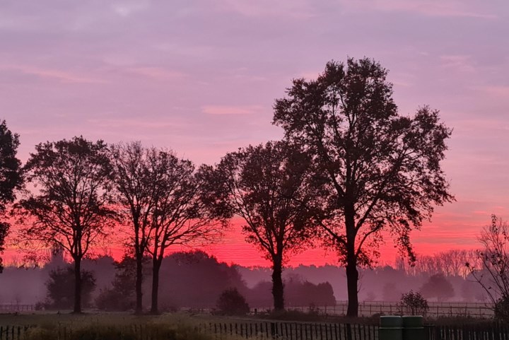 Na regen komt (even) zonneschijn, en dat levert prachtige plaatjes op