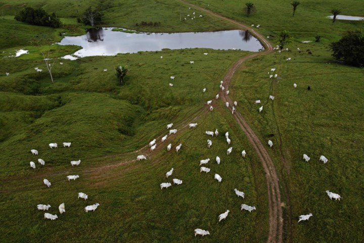 Brazilië wil landbouwgrond met 60 procent vergroten zonder bomenkap