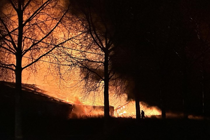 Vlammenzee in loods nadat tractor vuur vat: “Redden wat er te redden valt”