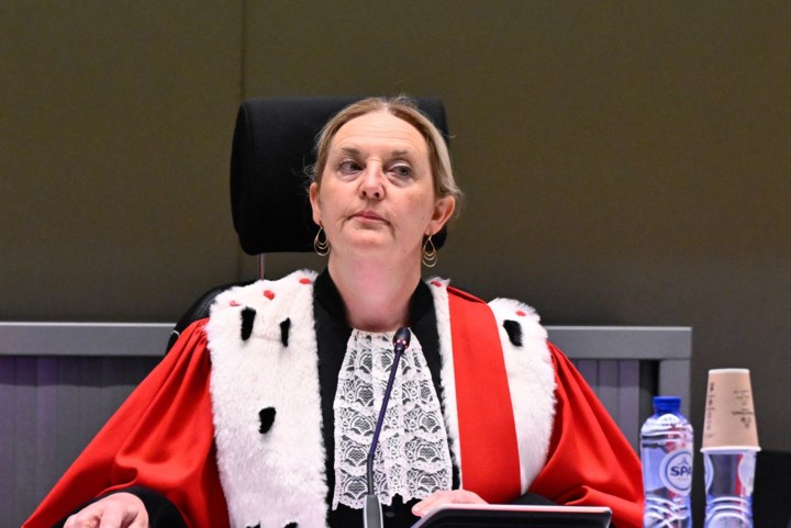 Raad van State vernietigt beslissing Van Quickenborne: voorzitter Brussels hof van beroep mag mandaat toch verlengen