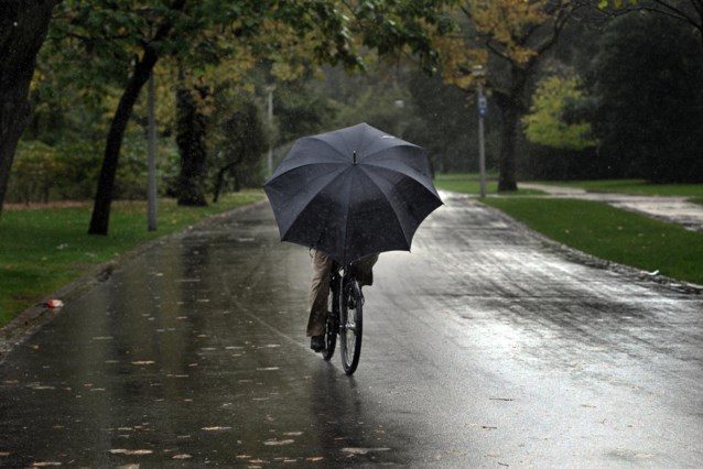 Weather Forecast for Sunday and Monday in Belgium: Rain, Clouds, and Wind with Maximums from 6 to 12 Degrees